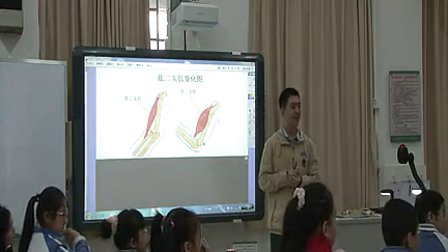 《骨骼关节和肌肉》小学四年级科学王怀君