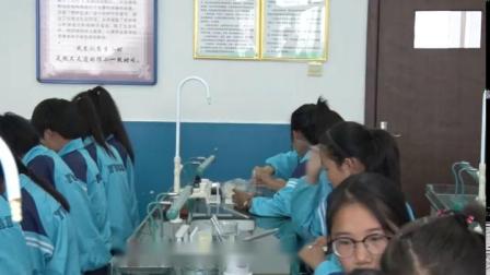 人教2011课标版生物七下-4.2.2《消化和吸收》教学视频实录-李盼盼