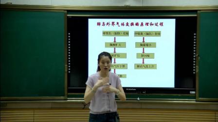 人教2011课标版生物七下-4.3.2《发生在肺内的气体交换》教学视频实录-石利