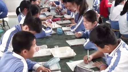 2015优质课《不同的物质混合以后》小学科学教科版六下-深圳珠光小学：姚莉