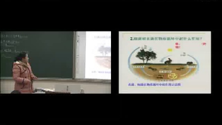 《细菌和真菌在自然界中的作用》初二生物-中牟县狼城岗中心中学：蒋凤霞