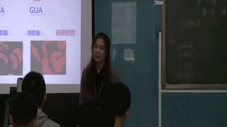 2015年江苏省高中生物优课评比《基因突变及其他变异》教学视频,李小刚
