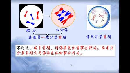《减数分裂过程中染色体变化》高一生物-安市五环中学-祁铁军-陕西省首届微课大赛