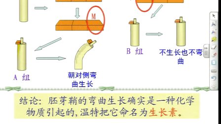 陕西省示范优质课《植物生长素的发现2-2》人教版高一生物，西安市铁一中学：张兮