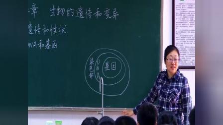 初中生物人教版八下《7.2 生物的遗传和变异》广东张帆