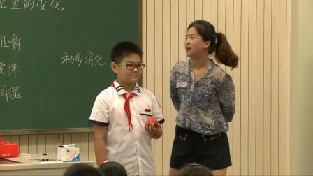 教科版小学科学四年级《食物在口腔里的变化》课堂教学视频实录-陈慧