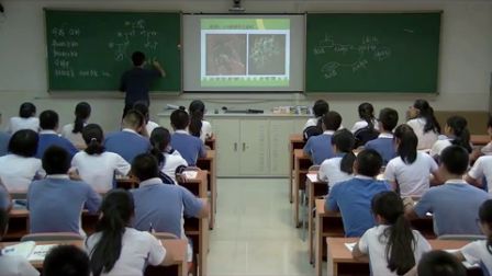《从生物圈到细胞（第2课时）》教学课例（人教版高一生物，平冈中学：郭明阳）