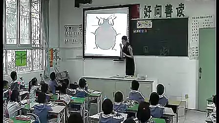《昆虫王国》_宋昕新课程优质课集锦