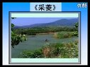 小学四年级音乐课视频下册《采菱》