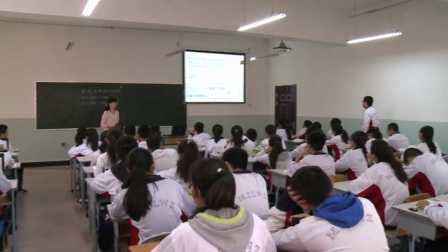 初中生物人教版八下《7.3 生物进化的历程》内蒙古董洪伶