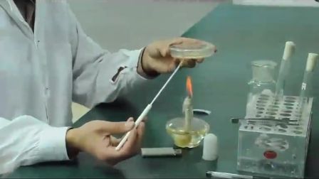 《培养基接种实验操作——波波实验系列》人教版生物八年级-西安尊德中学-黎圆-陕西省首届微课大赛