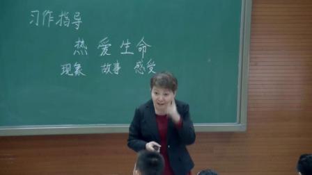 《习作》人教版小学语文四下课堂实录-天津_河西区-张全红