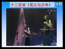 小学四年级音乐课视频下册《花儿与少年》