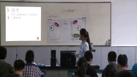 2015年江苏省高中生物优课评比《细胞器》教学视频,余荣娟
