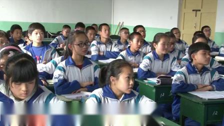 北师大版数学七上-3.3《整式》课堂教学视频实录-冯晓丽