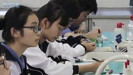 《盐类的水解》高二化学优质课视频-深圳-李易浔
