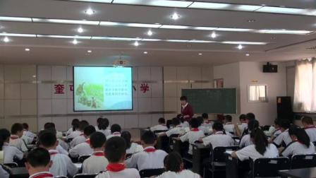《四时田园杂兴》人教版小学语文四下课堂实录-新疆伊犁哈萨克自治州_奎屯市-张丽