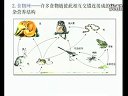 生态系统的结构 人教版周洁_高二生物优质课