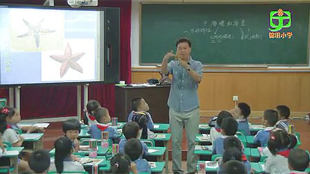 《海螺和海星》小学一年级美术锦田小学田枫