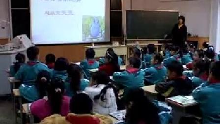 《水的秘密》优质课3-2（北师大版品德与生活二上，执教：宋伟华）