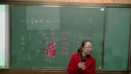 华师大版科学八上5.1《食物的消化和吸收》课堂实录教学视频-第一课时，范蓉蓉