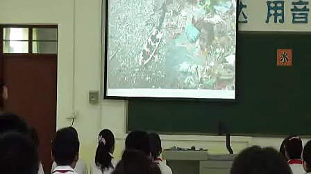 《水的危机》六年级品德与社会北师大版叶秋霞