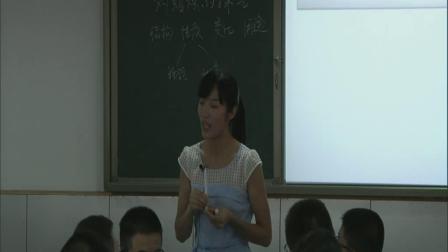 人教版化学九上第1单元《课题2; 化学是一门以实验为基础的科学》课堂教学实录-孙洁