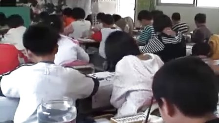 小学六年级美术优质课展示上册《写意花卉》岭南版_郑老师
