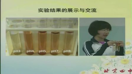 中学生物高一《用比色法探究pH对酶活性的影响》说课 北京张瑾（北京市首届中小学青年教师教学说课大赛）