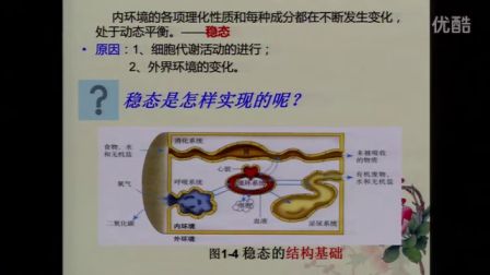 《内环境稳态的重要性》教学课例（人教版高二生物，平冈中学：程彩云）