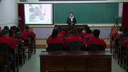 人教2011课标版生物七下-4.2.3《合理营养与食品安全》教学视频实录-罗新书