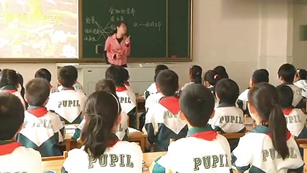 教科版四年级下册科学《食物中的营养》教学视频-秦皇岛