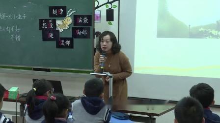 《我是一只小虫子》小学语文二年级优质课视频
