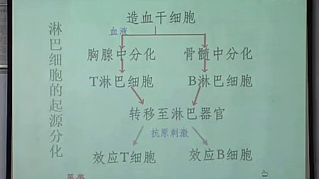 高中生物经典案例《免疫》江陵中学