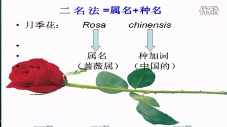 初中生物人教版八年级《生物的命名与分类》名师微型课 北京谭荣誉