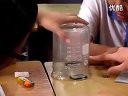 光的传播 浙教版_七年级初一科学优质课