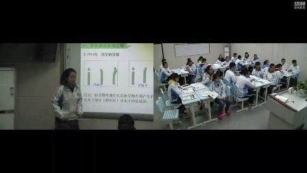 《植物生长素的发现》高二生物-郑州十六中：史歌