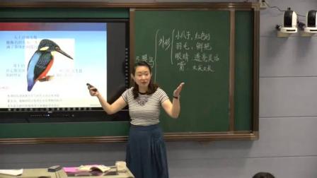 《5　翠鸟》人教版小学语文三下课堂实录-江西宜春市_袁州区-袁剑梅