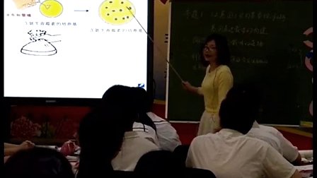 高中生物《基因表达载体的构建》福建省,2014学年度部级优课评选入围优质课教学视频