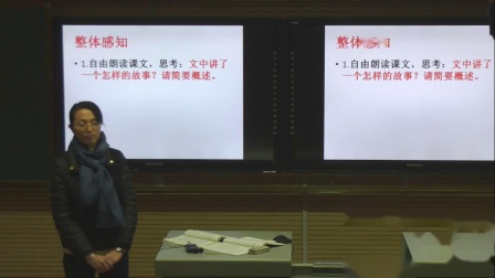苏教版语文七下2.7《三颗枸杞豆》课堂教学视频-荆立辉