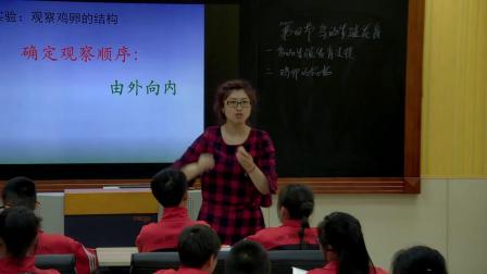 初中生物人教版八下《7.1 鸟的生殖和发育》黑龙江车长俊