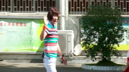 小学体育人教版三四年级《4.障碍跑》广东李春颜