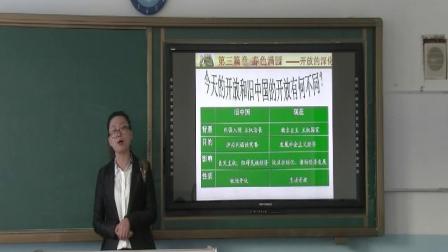 岳麓版高中历史必修二第四单元第20课《对外开放格局的形成》课堂教学视频实录-齐齐哈尔 王丽