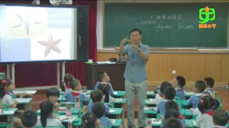 深圳2015优质课《海螺和海星》岭南版美术一下，锦田小学：田枫