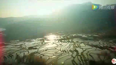 初中地理人教版八下《7.1  自然特征与农业》江苏杨煜
