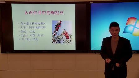 苏教版语文七下2.7《三颗枸杞豆》课堂教学视频-苏州工业园区