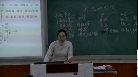 人教2011课标版生物七下-4.2.2《消化和吸收》教学视频实录-王云霄