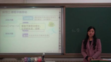 中学化学高二《难溶电解质的溶解平衡》说课 北京左金鑫（北京市首届中小学青年教师教学说课大赛）