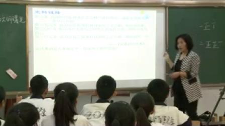 《大河流域的文明曙光》教学实录（北师大版历史八下17课，本溪县第三中学：姚丽春）