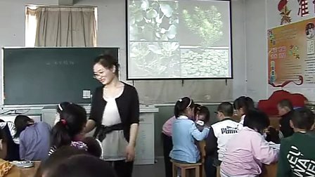 小学三年级科学上册《水生植物》教学视频